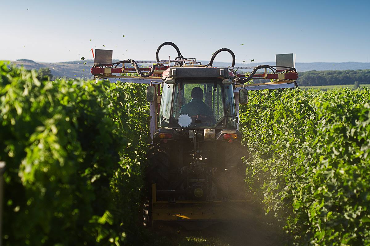 tracteur-vignes